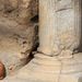 20090131_tunisiatrip_18_sousse_cat1